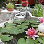Bed & Breakfast Le 6 Bis 3*