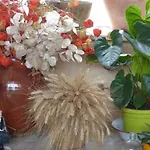 Le 6 Bis Bed & Breakfast Romans-sur-Isère